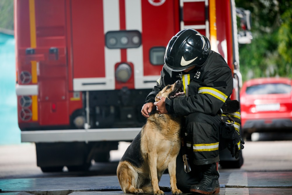 Pies w straży pożarnej