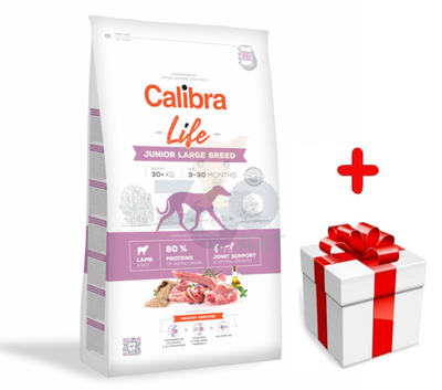 Calibra Dog Life Junior Large Breed Lamb 12 kg + Niespodzianka dla psa GRATIS
