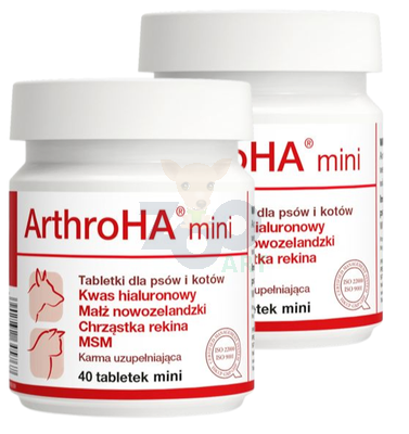 Dolfos ArthroHA mini  - preparat wspomagający leczenie schorzeń stawów 2x40 tab.