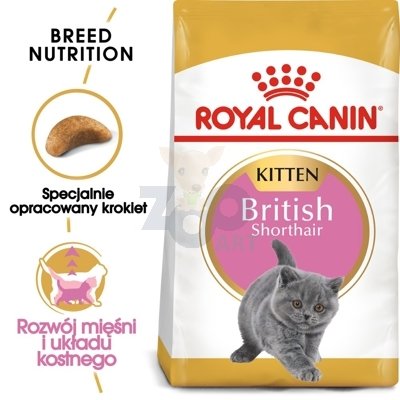 ROYAL CANIN British Shorthair Kitten 10kg + saszetka Kitten w galaretce 12x85g