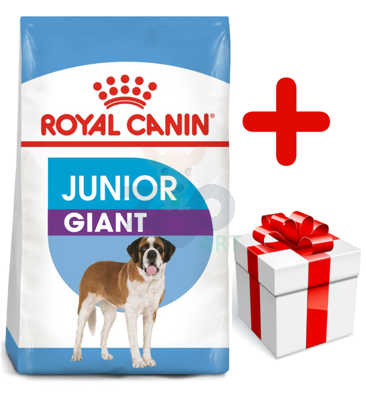 ROYAL CANIN Giant Junior 15kg karma sucha dla szczeniąt  od 8 do 18/24 miesiąca życia, ras olbrzymich + niespodzianka dla psa GRATIS!