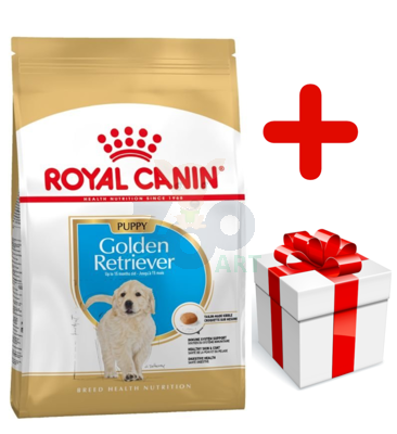 ROYAL CANIN Golden Retriever Puppy 12kg +  niespodzianka dla psa GRATIS!
