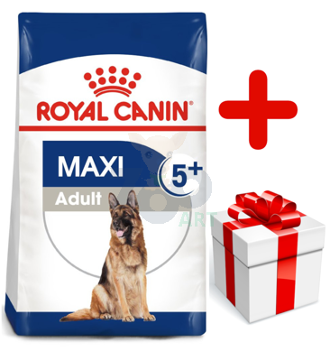 ROYAL CANIN Maxi Adult 5+ 15kg karma sucha dla psów starszych, od 5 do 8 roku życia, ras dużych + niespodzianka dla psa GRATIS!