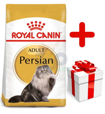 ROYAL CANIN Persian Adult 10kg karma sucha dla kotów dorosłych rasy perskiej + niespodzianka dla kota GRATIS!