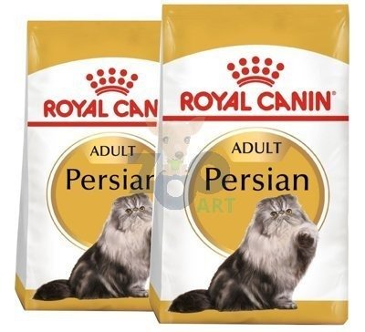 ROYAL CANIN Persian Adult 2x10kg karma sucha dla kotów dorosłych rasy perskiej