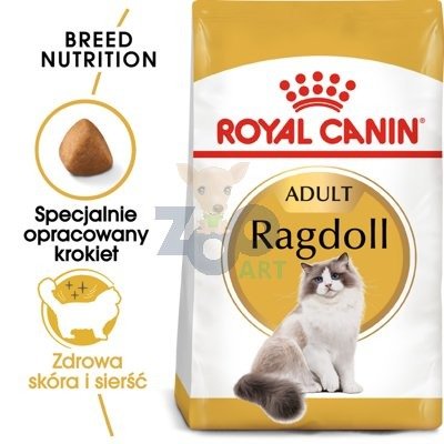 ROYAL CANIN Ragdoll Adult 2kg + niespodzianka dla kota GRATIS!