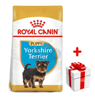 ROYAL CANIN Yorkshire Terrier Puppy 1,5kg karma sucha dla szczeniąt do 10 miesiąca, rasy yorkshire terrier + niespodzianka dla psa GRATIS!