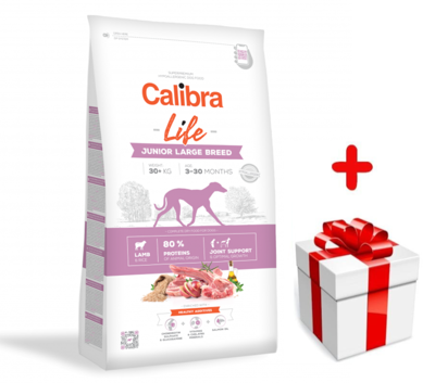 Calibra Dog Life Junior Large Breed Lamb 12 kg + Niespodzianka dla psa GRATIS