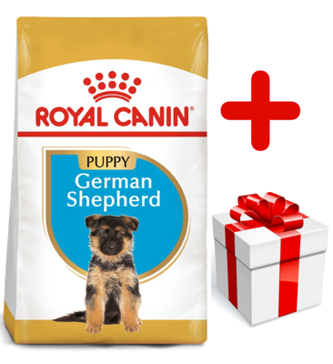 ROYAL CANIN German Shepherd Puppy 12kg karma sucha dla szczeniąt do 15 miesiąca, rasy owczarek niemiecki  + niespodzianka dla psa GRATIS!