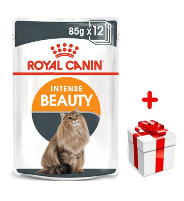 ROYAL CANIN Hair&Skin 12x85g w galaretce karma mokra w galaretce dla kotów dorosłych, zdrowa skóra, piękna sierść + niespodzianka dla kota GRATIS!