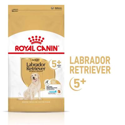 ROYAL CANIN Labrador Retriever Adult 5+ 12kg karma sucha dla psów dorosłych rasy Labrador Retriever, powyżej 5 roku życia//Opakowanie uszkodzone (3389,3736) !!!