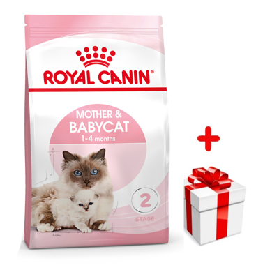 ROYAL CANIN  Mother&Babycat 4kg karma sucha dla kotek w okresie ciąży, laktacji i kociąt od 1 do 4 miesiąca życia + niespodzianka dla kota GRATIS!