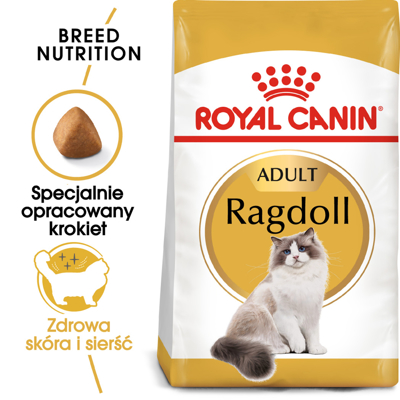 ROYAL CANIN Ragdoll Adult 2kg karma sucha dla kotów dorosłych rasy ragdoll 