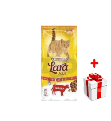 VERSELE-LAGA Lara Adult Beef 2kg + niespodzianka dla kota GRATIS!