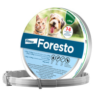 BAYER Foresto Obroża dla kotów i psów poniżej 8kg