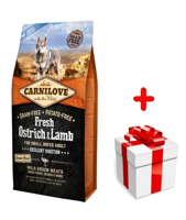Carnilove Fresh Ostrich Lamb Adult 6 kg + niespodzianka dla psa GRATIS!