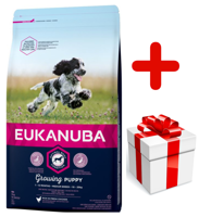 Eukanuba puppy&junior medium breed 15kg + niespodzianka dla psa GRATIS!