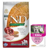 Farmina N&D Ancestral Grain canine CHICKEN & POMEGRANATE ADULT MEDIUM&MAXI  12kg + BAYER Kiltix Obroża dla psów dużych dł, 70cm
