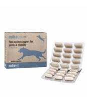 NUTRAVET Nutraquin Plus For Dogs & Cats 30kaps- zapewnia szybkie wsparcie dla zwierząt cierpiących na sztywność stawów.