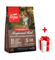ORIJEN Regional Red Cat 1,8kg + niespodzianka dla kota