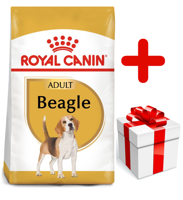 ROYAL CANIN Beagle Adult 12kg karma sucha dla psów dorosłych rasy beagle + niespodzianka dla psa GRATIS!