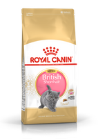 ROYAL CANIN British Shorthair Kitten 10kg karma sucha dla kociąt, do 12 miesiąca, rasy brytyjski krótkowłosy
