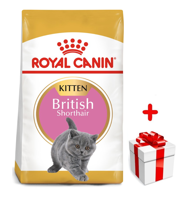 ROYAL CANIN British Shorthair Kitten 400g karma sucha dla kociąt, do 12 miesiąca, rasy brytyjski krótkowłosy + niespodzianka dla kota GRATIS!