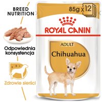 ROYAL CANIN Chihuahua Adult 12x85g karma mokra - pasztet, dla psów dorosłych rasy chihuahua