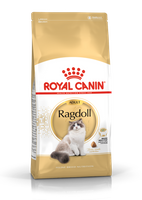 ROYAL CANIN Ragdoll Adult 10kg karma sucha dla kotów dorosłych rasy ragdoll 