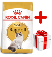 ROYAL CANIN Ragdoll Adult 10kg karma sucha dla kotów dorosłych rasy ragdoll  + niespodzianka dla kota GRATIS!