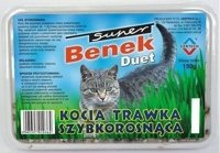 SUPER BENEK Trawka szybkorosnąca "DUET"  dla kota 150g w plastikowym pudełku