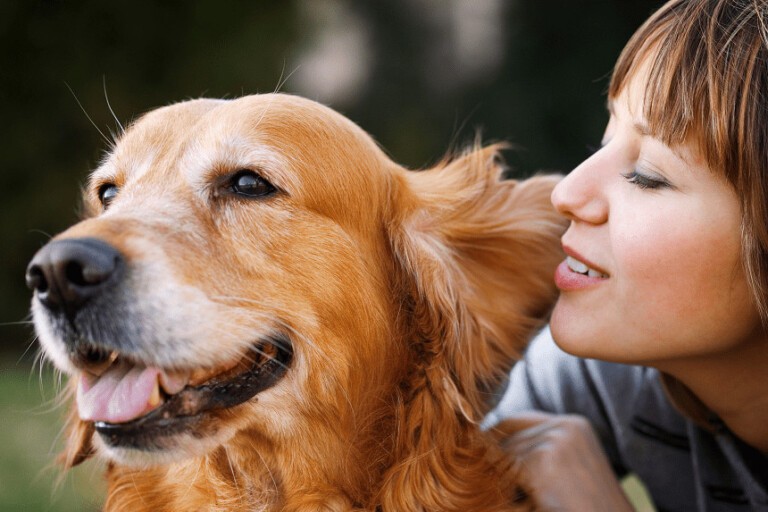 Psy – ciekawostki o mózgu. Czy psy rozumieją ludzi?