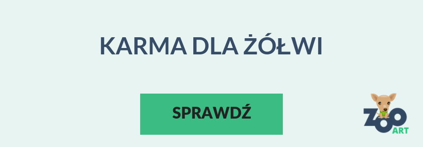 Karma dla zółwia