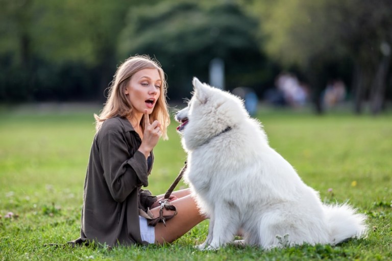 Jak nauczyć psa reagować na imię – 3 sprawdzone sposoby behawiorysty