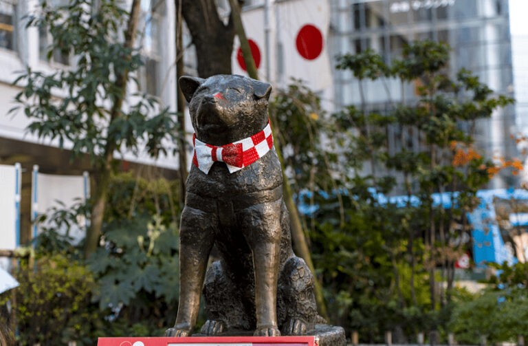 Hachiko – pies, który stał się symbolem. Wierny pies i jego historia