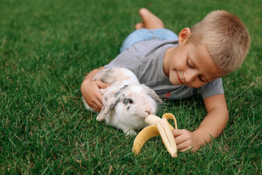 Czy króliki mogą jeść banany?