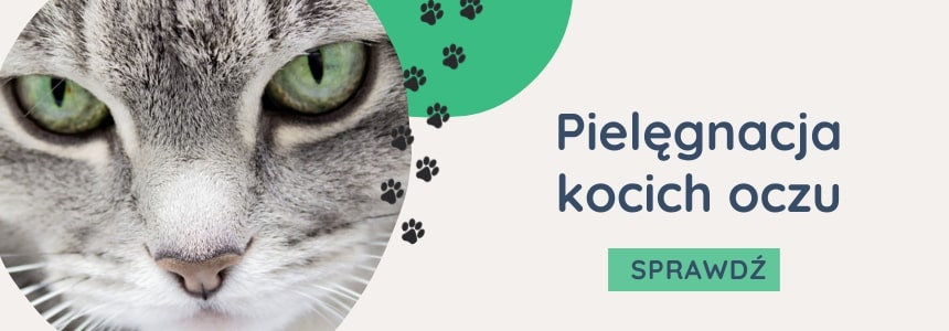 Pielęgnacja kocich oczu - ZooArt