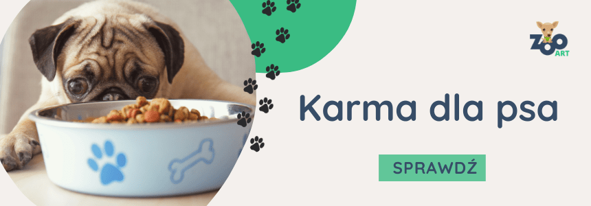 Karma dla psa - sklep internetowy ZooArt