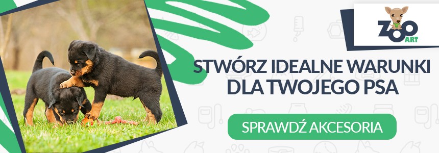 Sprawdź Akcesoria Bytowe Dla Psów w Internetowym Sklepie Zoologicznym ZooArt.com.pl