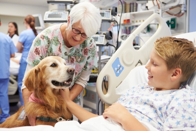 Dogoterapia, czyli jak psy terapeutyczne pomagają osobom chorym