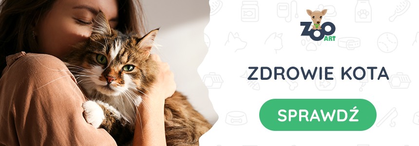 Zadbaj o zdrowie kota - Sklep Zoologiczny Zooart