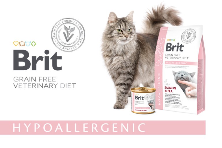 Żywienie kota z alergią pokarmową – Brit VD Hypoallergenic