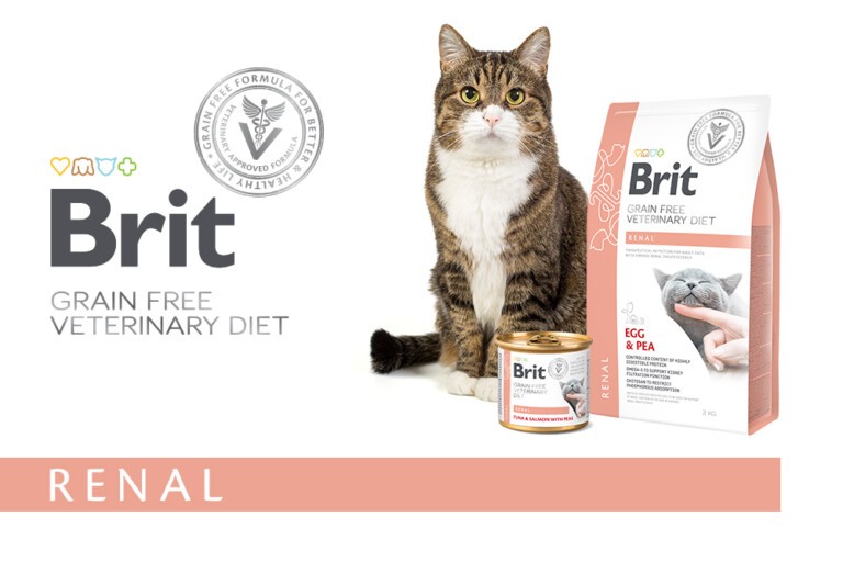 Żywienie kota z niewydolnością nerek – Brit VD Renal