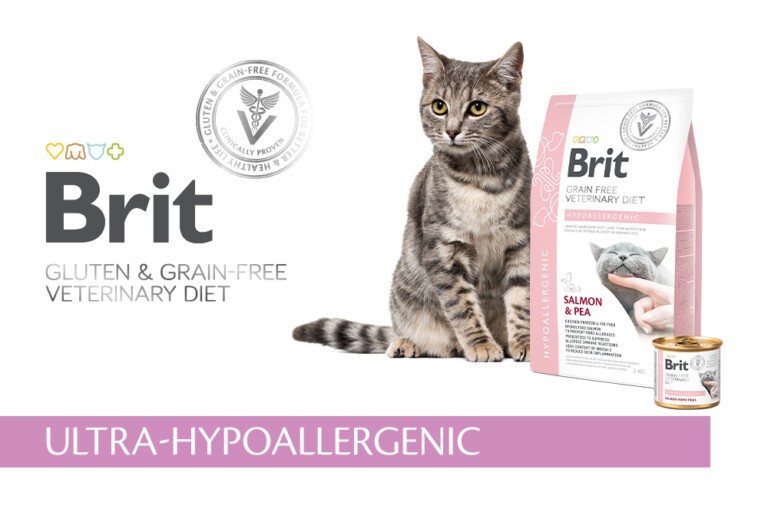 Alergia pokarmowa u kota – o czym należy pamiętać w doborze odpowiedniej diety?