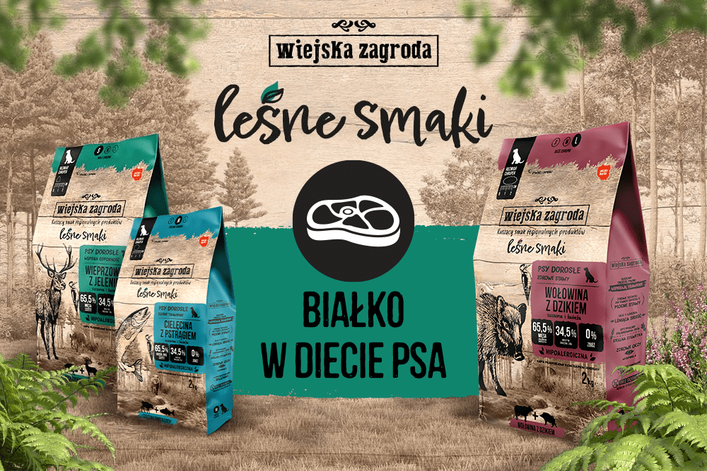 Białko w diecie psa