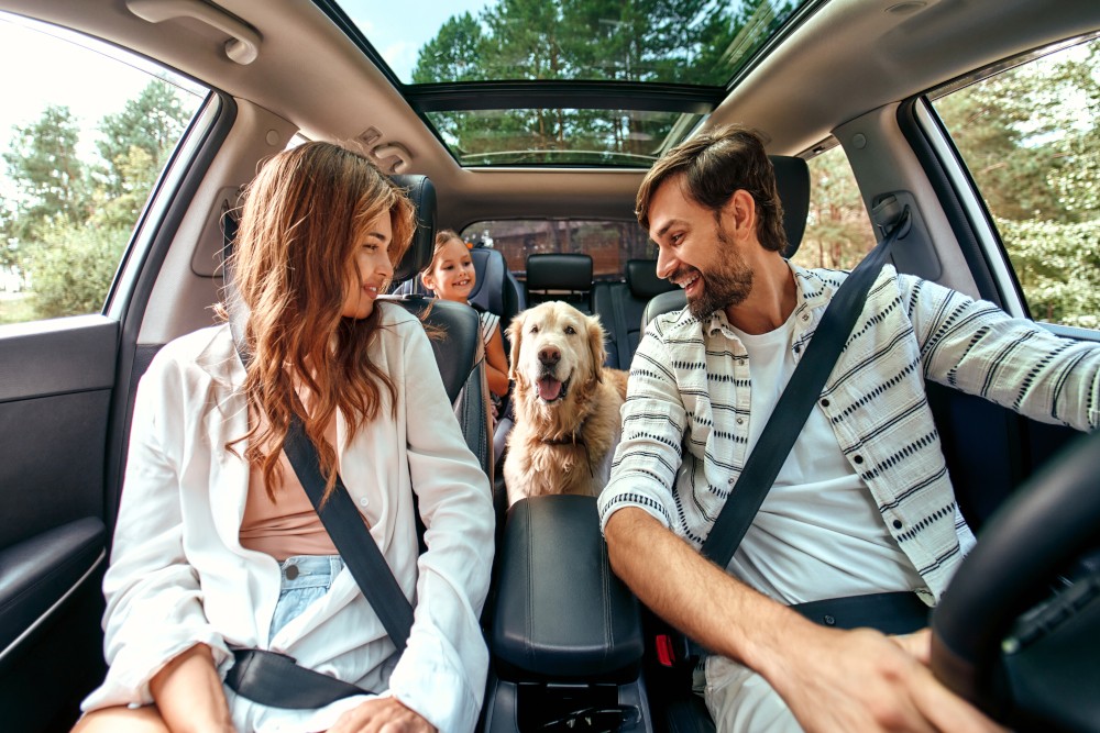 Podróż z psem samochodem bez stresu - o czym warto pamiętać?