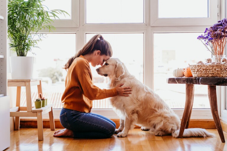Terapia z udziałem zwierząt – korzyści, które warto poznać
