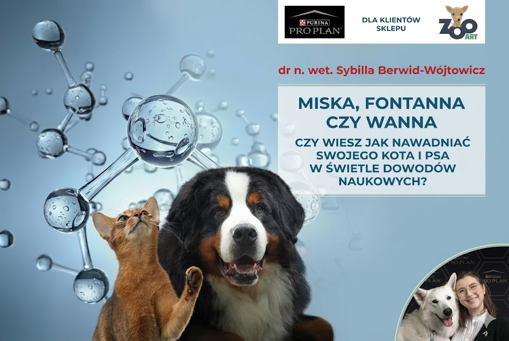 Miska, fontanna czy wanna – Czy wiesz jak nawadniać swojego kota i psa w świetle dowodów naukowych?