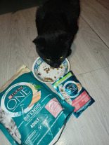 Purina One Cat Adult Karma z łososiem dla kota 800g