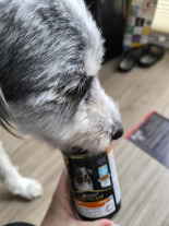 PRO PLAN Everyday Nutrition Adult Karma dla psów Mix Smaków w galaretce 12x400g